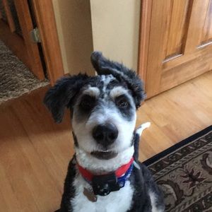 Meet your Posher, Jacob